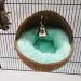 Violotoris Hanging Coconut Shell Bird Nest House Bed Natural Random Color Cushion Birdhouse Bird Hut Breeding Place Toy For Bird - Buy Online on GoSupps.com