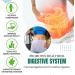 ConstiCare Constipation Relief Inhaler Constipation Relief Nasal Inhaler Natural Relief from Constipation Effective Relief Digestive Issues and Bloating (3PCS) - Buy Online on GoSupps.com