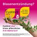 Cystinol Acute 100 Dragees - Fast Relief for Bladder Inflammation & UTI - Antibacterial Vegetable Medicine - 1 Pack - Ships Internationally - Buy Online on GoSupps.com