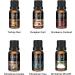 Buy Christmas Essential Oils Gift Set - Premium Fragrance Oils for Home & Diffuser (Pack of 6) - Festive Scents: Tree Cookie Cranberry & More - Buy Online on GoSupps.com