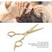 Hair Cutting Scissors Professional Home Barber Shears Stainless Steel with Incisive Blades - Buy Online on GoSupps.com