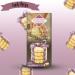 Duncan's Deeside Shortbread OatCake Box Pick N Mix - Create Custom OatCakes Combo with 6 Flavours | Family Recipe All Butter Chocolate Chip Olive Oil Wheat Free-Recipe - Pack of 6 X 200g - Buy Online on GoSupps.com