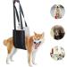 uikios Dog Lift Harnesses Regulable Dog Slings Hip Support Harnesses Dog Carry Slings for Canine Mobility Aid Medium - Buy Online on GoSupps.com