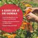 Boiron Calendula Gel | Soothing Skin Relief | Natural Homeopathic Treatment - Buy Online on GoSupps.com