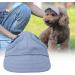 Tnfeeon Pet Baseball Cap for Dogs & Cats - Adjustable Summer Sunbonnet with Ear Holes | Perfect Outdoor Hat (Light Blue) - Buy Online on GoSupps.com