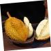 HOMSFOU 3pcs Artificial Imitation Durian Artificial Vegetable Decor Simulation Fruit Artificial Fruit Toy Lifelike Model Decoraciones Para Salas De Casa Fake Fruit Plastic Big Fruit Yellowx3pcs 25X15X15CMx3pcs - Buy Online on GoSupps.com