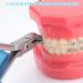 Buy ANNWAN Professional Distal End Cutter - Durable Orthodontic Braces Wire Cutter for International Shipping - Buy Online on GoSupps.com