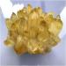 Natural Crystal Rough Stone Crafts Natural Yellow Ghost Phantom Quartz Crystal Cluster Specimen Home Decoration Office Living Room Crystal Decora (Size : 250-300g) - Buy Online on GoSupps.com