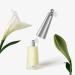 L'eau d'Issey I GO by Issey Miyake for Women 2 Piece Set Includes: 2.0 oz Eau de Toilette Spray + 0.67 oz Eau de Toilette Spray - Buy Online on GoSupps.com