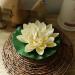Buy Vectexi Artificial Plastic Lotus Flowers - Floating Water Lily Ornaments for Aquarium & Pond - Set of 3 White - Buy Online on GoSupps.com