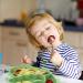 Sili-Sage Silicone Suction Plate for Toddlers - Self-Feeding Divided Dish & Bowl - Fits Most Highchairs Trays - Wyvern Sage - Buy Online on GoSupps.com