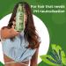 Leche Pal Pelo Detox Shampoo - Apple Cider Vinegar & Honey Infused | pH Balanced Hair Transformation | Moisture & Shine Repair - 14.9 oz - Buy Online on GoSupps.com