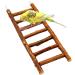 Great bird ladder made of delicious natural wood |Head without glue |Wellensing toy |Ideal for budgie nymphic canary