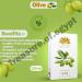 Buy Lotus Organica Natural Olive Oil 125ml | Chemical-Free & Organic | International Shipping - Buy Online on GoSupps.com