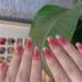 Press on Nails Long Fake Nails 24Pcs Shiny Red False fingernail with Self-Adhesive Jelly Nail Glue Tabs Press On False Nails - Buy Online on GoSupps.com