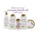 OGX Extra Creamy Coconut Miracle Oil Body Cream | Vanilla Bean | 6 fl oz - Buy Online on GoSupps.com