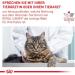ROYAL CANIN Veterinary Diet Cat Food Calm 2 Kg - Buy Online on GoSupps.com