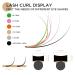 LashView 0.20mm D Curl Ellipse Flat Eyelash Extensions - Soft & Easy Application Mixed Tray (1 Pack) - Buy Online on GoSupps.com