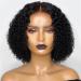 Shop RH-HPC Natural Curly Hair Wigs | Lace Front Bob Wig | 12-Inch Synthetic Hair Extensions - Buy Online on GoSupps.com