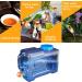 JQWYGB Water Storage Containers  Camping Water Container  3.2 Gallon Portable Large Water Tank with Faucet for Outdoor Camping Picnic Hiking Car Driving Home Emergency Water Storage - Buy Online on GoSupps.com