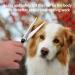 Fenice Peak 7.5 Professional Dog Grooming Scissors Set - Stainless Steel Shears for Pet Grooming Services - 4pcs Combo Set - Buy Online on GoSupps.com