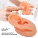 Silicone Right Ear Model for Hearing Aids | Flexible & Soft Simulation Display Ear - Buy Online on GoSupps.com