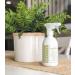 Sapadilla Sweet Lavender + Lime Variety Pack: Dish Soap, Hand Soap & Countertop Cleanser - Buy Online on GoSupps.com
