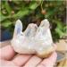 70grams Natural White Cluster Electroplating Titanium Coating Quartz Cluster StoneCrafts ERTEYIN - Buy Online on GoSupps.com
