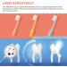 Gatuida 6-Pack Soft Travel Toothbrushes | Optimal Oral Care & Hygiene | Portable Toothbrushes with Covers for Easy Cleaning - Buy Online on GoSupps.com