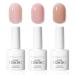 Gel Nail Polish Set Translucent Gel Nail Varnish Spring Pink Nail Polish Kit Sheer Nude Pink & Jelly Pink French Manicure Gel Nail Polish Soak-Off UV/LED 3 Color Nail Gel Gift