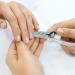 Professional Heavy Duty Toe Nail Clippers Cutters - Stainless Steel Chiropody Podiatry Pliers - Buy Online on GoSupps.com