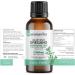 Wild Greek Oregano Oil - 100% Pure, Food Grade Quality, Certified - 1 FL.OZ (30ML) - Buy Online on GoSupps.com