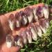 Crystal Decoration 1/4 lb Lot Brazilian Rough Amethyst Points Raw Crystals - Buy Online on GoSupps.com