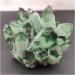 Crystal Rough 1pcs 300-900g Newly Natural Green Ghost Quartz Crystal Cluster Crystals raw Gemstone Specimen for Home&Office Decoration (Size : 500-600g) - Buy Online on GoSupps.com