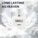 FOR-WILLS AURORA Perfume for Men Best Luxury Perfume Long Lasting Smell Branded Perfume Gift Set Premium Combo Pack Luxury Fragrance Perfect Body Spray for Men 100ML (AURORA) - Buy Online on GoSupps.com