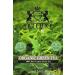 SRILUXE - Premium Quality Ceylon Organic Loose leaves Green Tea | Sri Lankan Luxury Tea | Freshly Harvested 100% Natural Tea | Detox Tea High in Antioxidants (Green Loose Leaves 250g)