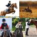 Turnhier Kids Equestrian Breeches - Navy Small | Silicone Full Seat & Pockets - Buy Online on GoSupps.com