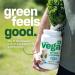 Vega Protein and Greens Berry (18 Servings) Plant Based Protein Powder Plus Veggies Vegan Non GMO Pea Protein For Women and Men 522g (Packaging May Vary) Berry 21 Servings (Pack of 1) - Buy Online on GoSupps.com