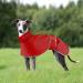 Buy Waterproof Greyhound & Whippet Rain Coats | Light & Durable XXL Red Coats for Medium to Large Dogs - Buy Online on GoSupps.com