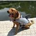 Omem Life Jacket for Dogs - Perfect for Puppies in Pools Surfing & Boating - Safety & Comfort in Gray - Buy Online on GoSupps.com