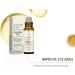 BRVLY Liftora Castor Oil with Essential Vitamin E Eye Roller Oil for Eyelash and Eyebrow Growth AntiWrinkle Serum 6 - Buy Online on GoSupps.com