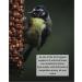 Squirrel Mixture 200g Premium Wild Life Food Garden Seed Feed - SLW - Buy Online on GoSupps.com
