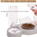 3-In-1 Cat Food And Water Bowl Set Cat Bowls With Stand Double Cat Bowls with Water Dispenser For Pet Food And Water Feeder For Small Medium Dogs Cats - Buy Online on GoSupps.com