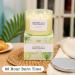Cucumber Lily of The Valley & Neroli Blossom 3 Wick Candle | 15.8 oz Luxury Spa & Aromatherapy Candle | Fresh Scented Candles for Home | Natural Soy | Stress Relief - Buy Online on GoSupps.com