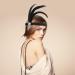 Molain 1920s Flapper Headband Halloween Party Feather Crystal Headband 20's Headpiece Accessories for Women Gatsby Costume Theme Party Cocktail Party Hair Accessories for Women Style B - Buy Online on GoSupps.com