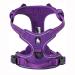 TrueLove Dog Harness TLH5651 No-pull Reflective Stitching Ensure Night Visibility Outdoor Adventure Big Dog Harness Perfect Match Puppy Vest Now Available (Purple M) Purple M