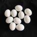 10Pcs Plastic Eggs - Simulated Bird Eggs for Parrots & Racing Pigeons | Bird Supplies Worldwide Shipping - Buy Online on GoSupps.com