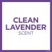 Secret Clinical Strength Antiperspirant and Deodorant Women Lavender 72 Hr Invisible Solid 1.6 oz 1.6 Ounce (Pack of 1) Oh La La Lavender - Buy Online on GoSupps.com