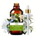 Lily Essential Oil 100% Pure Premium Grade for Aromatherapy Diffusers Nail Hair & Skin Care Meditation 3.38 Fl Oz