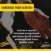 Food Connections HFSS Better for You Flapjack Bars - Box of 30x 80g Bars | Slow Energy Release Bars in 6 Flavours - Buy Online on GoSupps.com